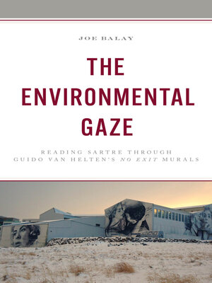 cover image of The Environmental Gaze